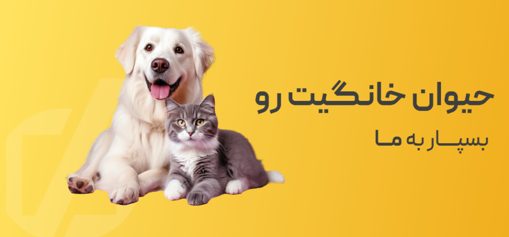 ویدوو